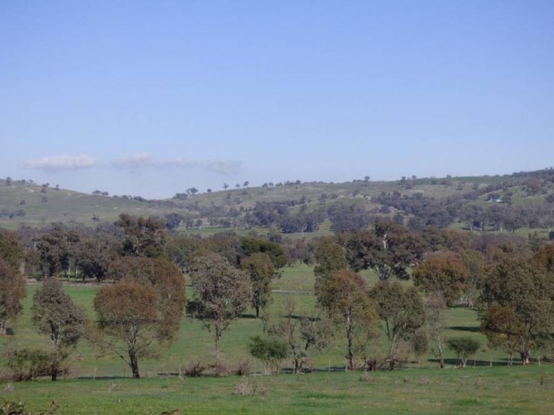 5166 Gundagai Road, Cootamundra NSW 2590