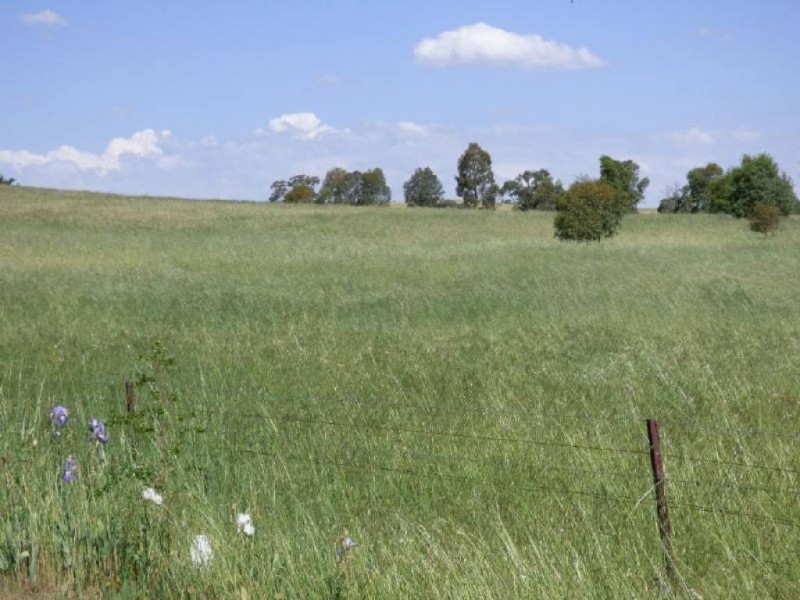 5166 Gundagai Road, Cootamundra NSW 2590