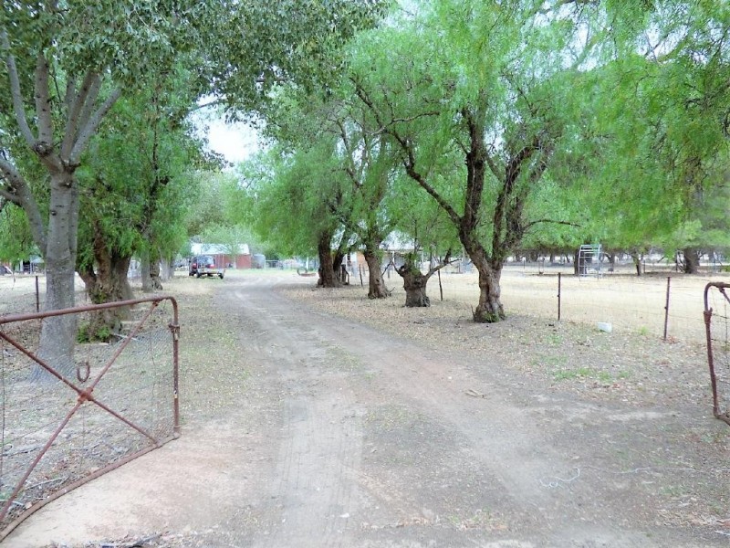 100 Old Wallendbeen Road, Stockinbingal NSW 2725