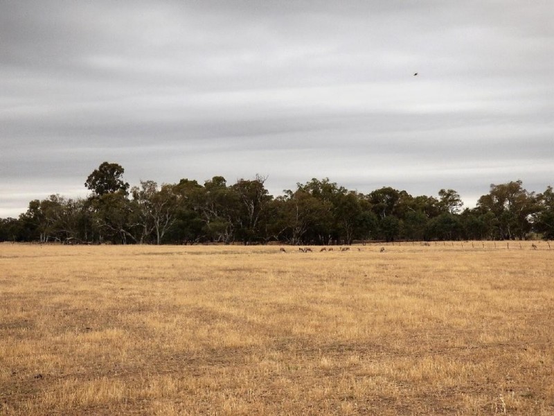 100 Old Wallendbeen Road, Stockinbingal NSW 2725