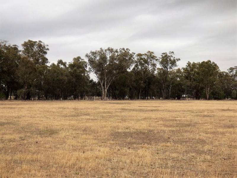 100 Old Wallendbeen Road, Stockinbingal NSW 2725