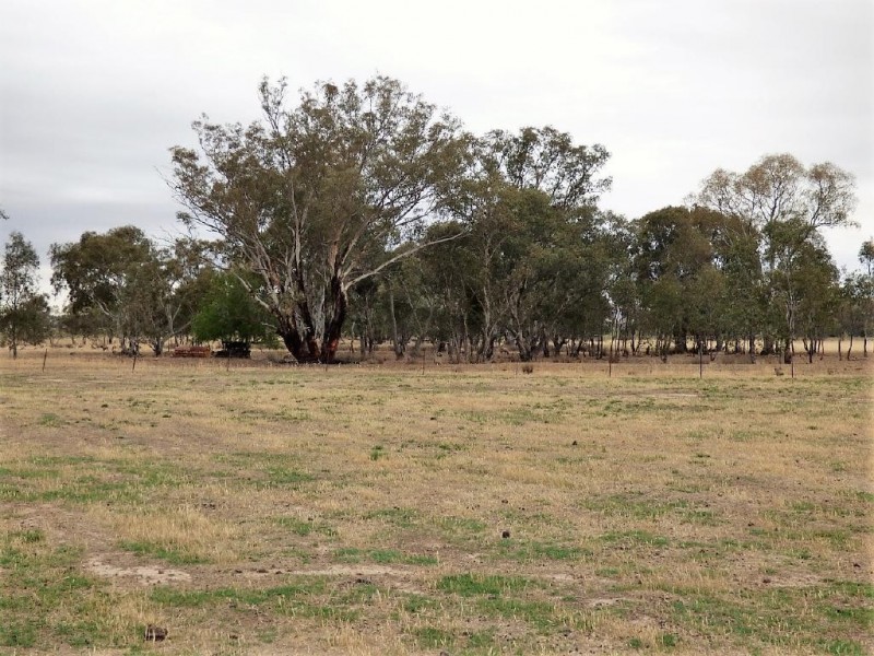 100 Old Wallendbeen Road, Stockinbingal NSW 2725