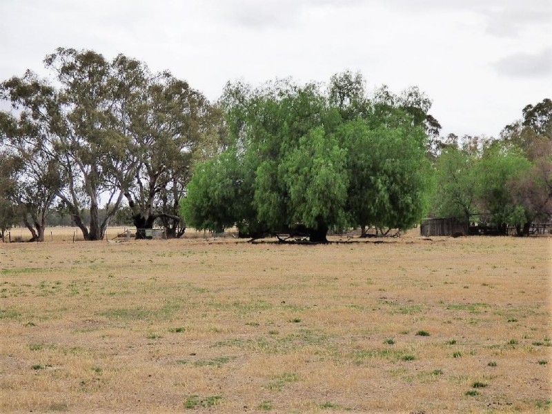 100 Old Wallendbeen Road, Stockinbingal NSW 2725