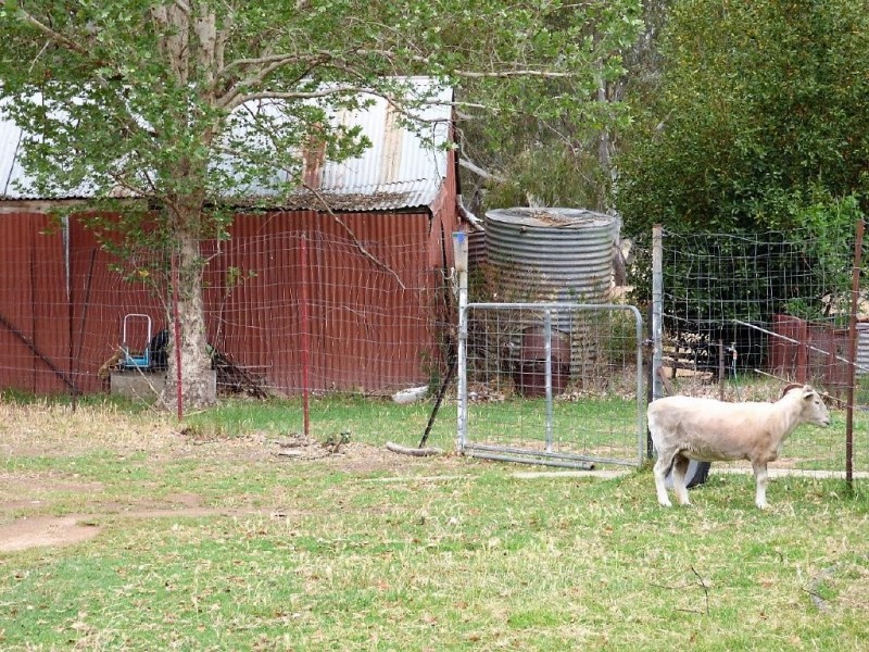 100 Old Wallendbeen Road, Stockinbingal NSW 2725