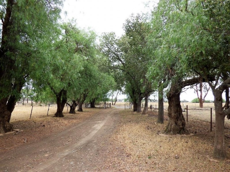 100 Old Wallendbeen Road, Stockinbingal NSW 2725