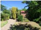 81 Thompson Street, Cootamundra NSW 2590