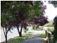 81 Thompson Street, Cootamundra NSW 2590