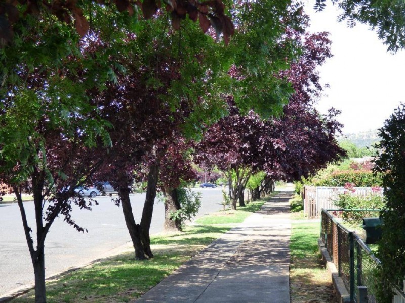 81 Thompson Street, Cootamundra NSW 2590