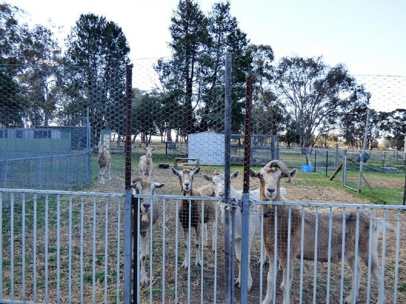 20 Cambria Street, Stockinbingal NSW 2725