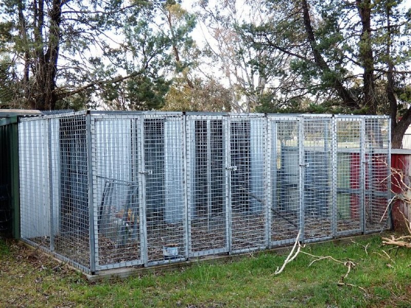 20 Cambria Street, Stockinbingal NSW 2725