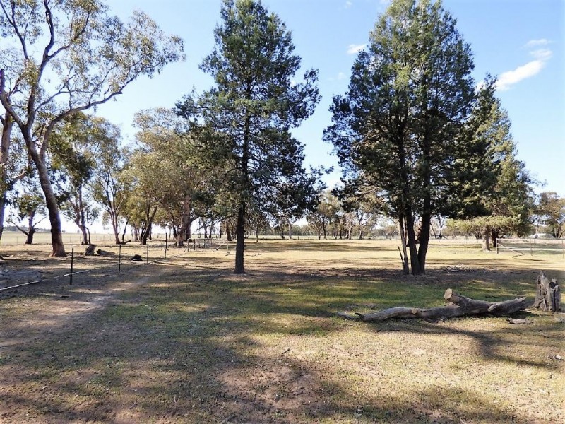 20 Cambria Street, Stockinbingal NSW 2725