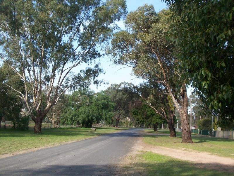 9 Cambria Street, Stockinbingal NSW 2725