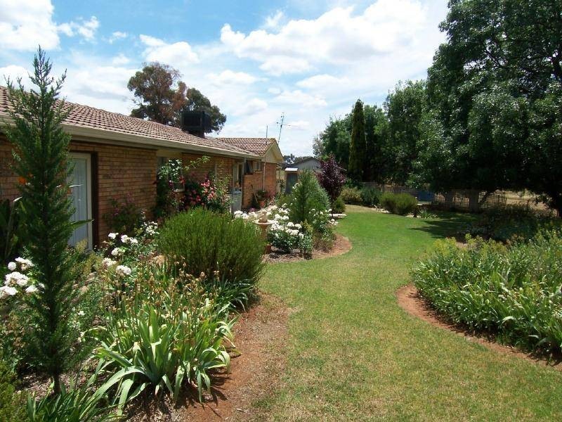245 Jugiong Road, Cootamundra NSW 2590