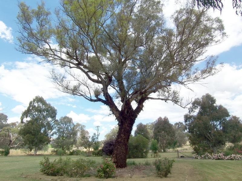 ‘Yolanda’ Gundagai Road, Cootamundra NSW 2590