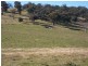 216 Suttons Lane, Cootamundra NSW 2590