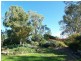 Amarillo Temora Road, Cootamundra NSW 2590
