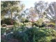 Amarillo Temora Road, Cootamundra NSW 2590