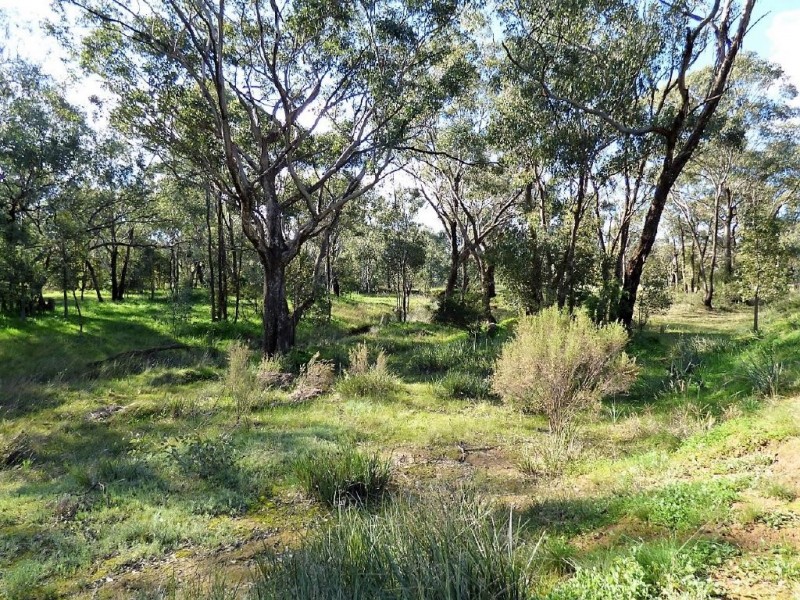 Lot 48 Dudauman Street, Stockinbingal NSW 2725