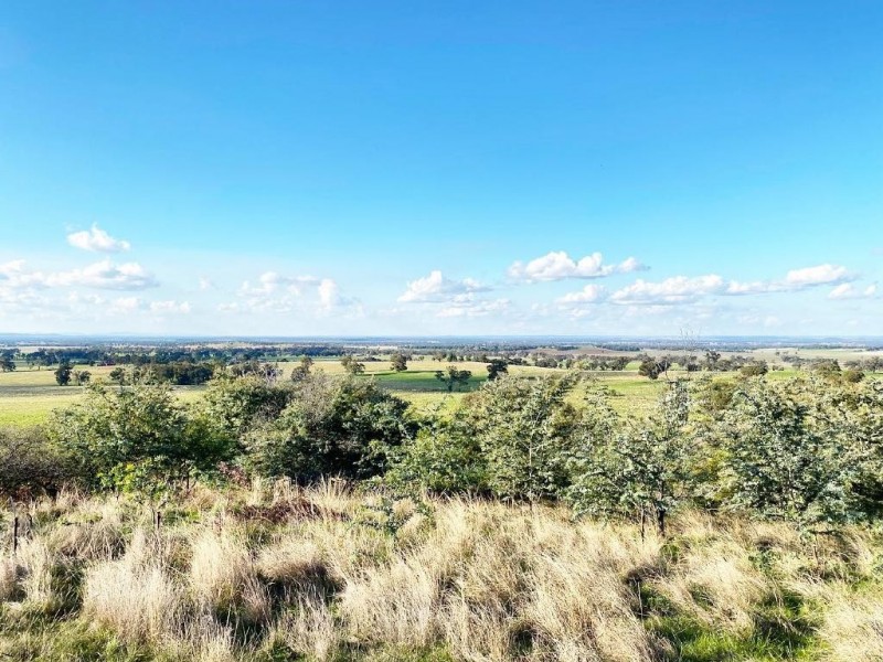 Cootamundra NSW 2590
