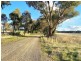 Cootamundra NSW 2590