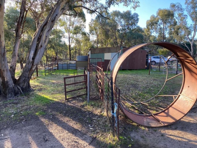 Cootamundra NSW 2590