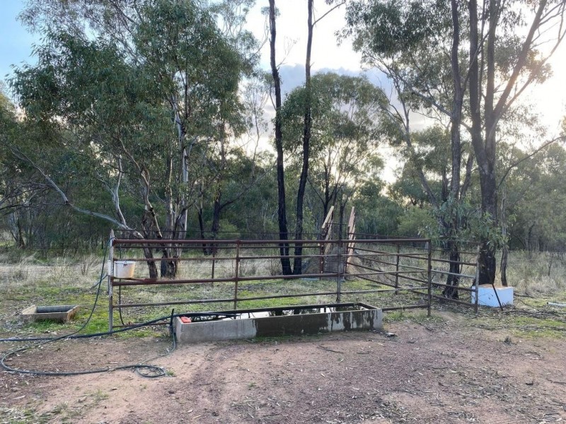 Cootamundra NSW 2590