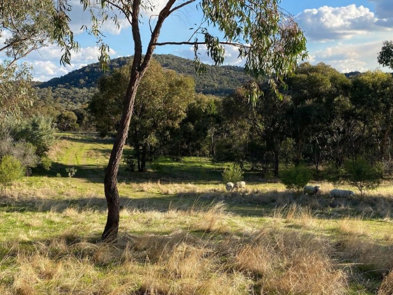 Cootamundra NSW 2590