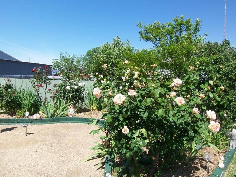 118 Thompson Street, Cootamundra NSW 2590
