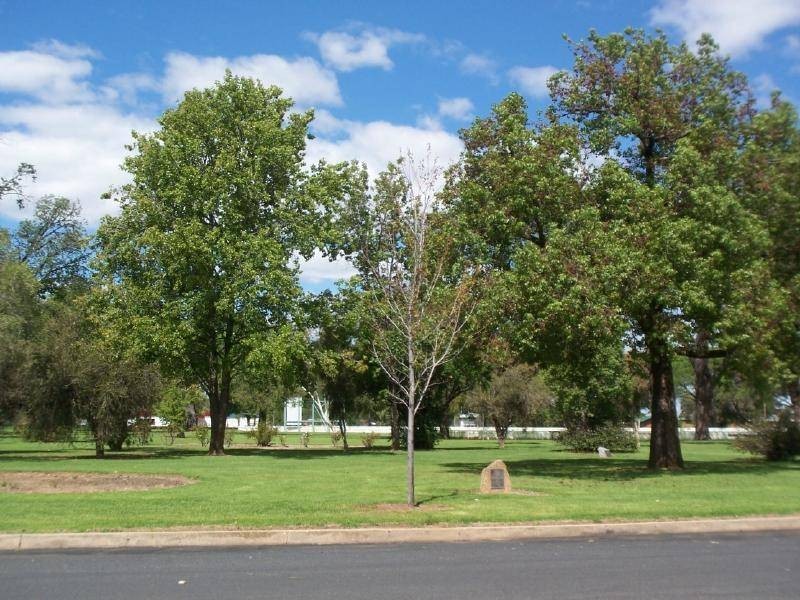 25 Thompson Street, Cootamundra NSW 2590