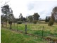 17 Scott Avenue, Cootamundra NSW 2590
