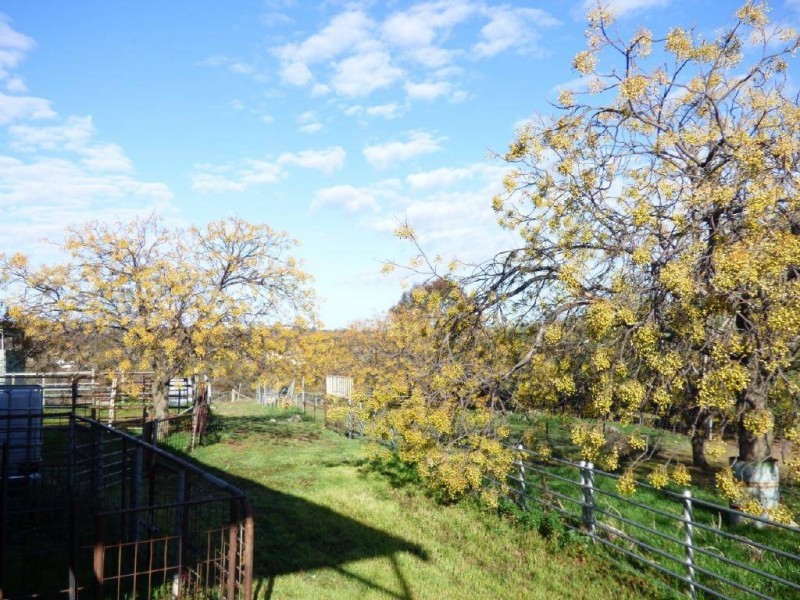 3133 Olympic Highway, Bethungra NSW 2590