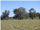 3133 Olympic Highway, Bethungra NSW 2590