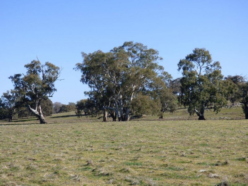 3133 Olympic Highway, Bethungra NSW 2590