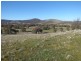 3133 Olympic Highway, Bethungra NSW 2590