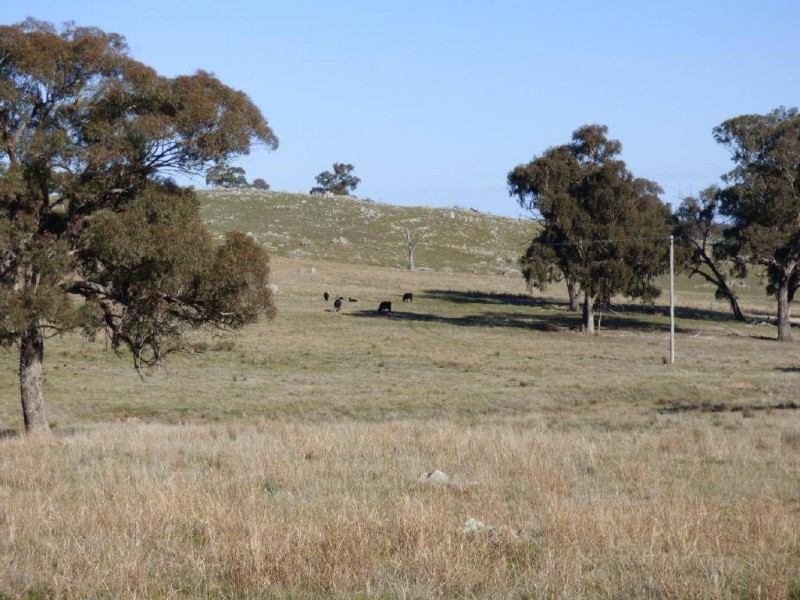 3133 Olympic Highway, Bethungra NSW 2590