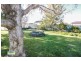 93 Thompson Street, Cootamundra NSW 2590
