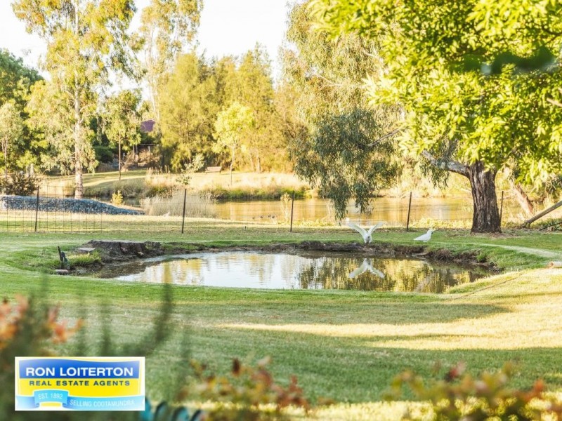 9 Scott Avenue, Cootamundra NSW 2590