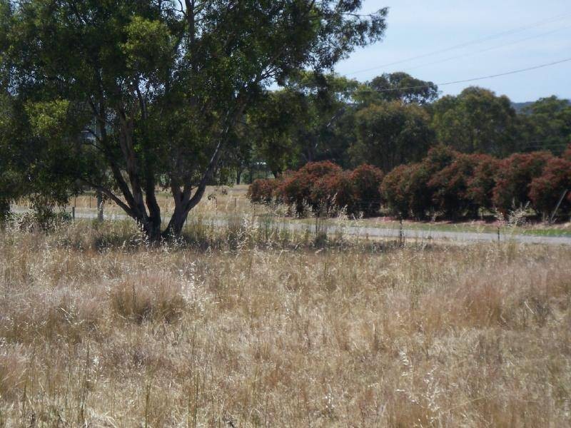 Lot 10 Boundary Road, Cootamundra NSW 2590