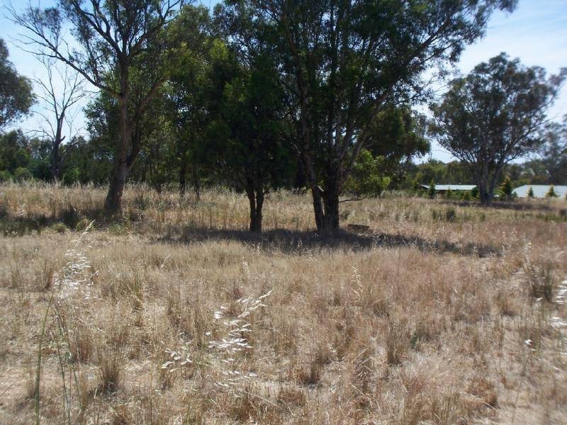 Lot 10 Boundary Road, Cootamundra NSW 2590