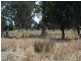 Lot 10 Boundary Road, Cootamundra NSW 2590