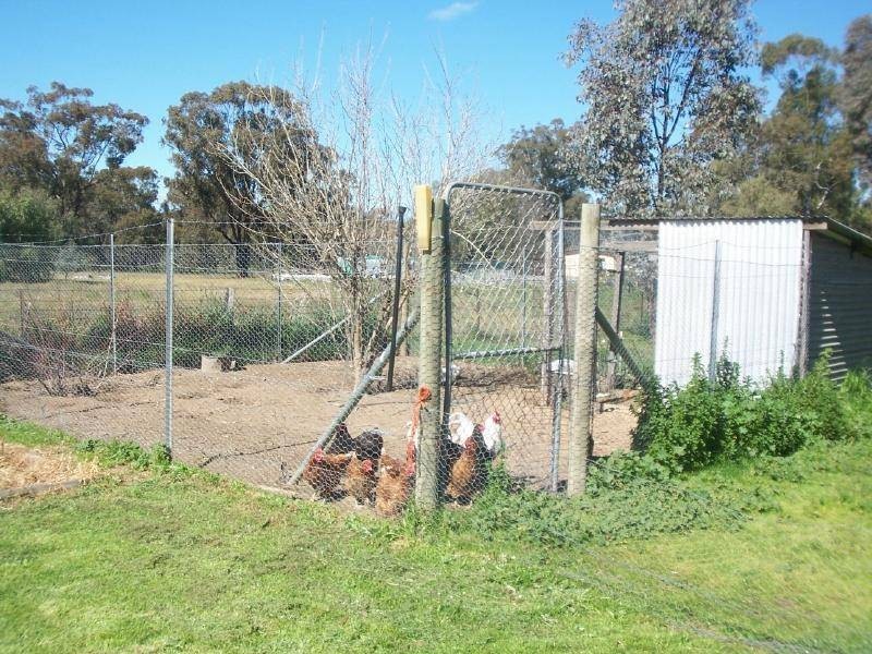 69 O’Brien Street, Cootamundra NSW 2590