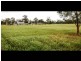 161 Old Wallendbeen Road, Cootamundra NSW 2590
