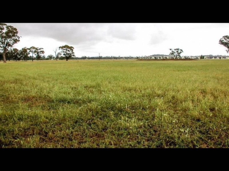 161 Old Wallendbeen Road, Cootamundra NSW 2590