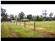 161 Old Wallendbeen Road, Cootamundra NSW 2590