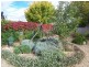 4 Morris Street, Cootamundra NSW 2590