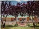 17 Temora Street, Cootamundra NSW 2590