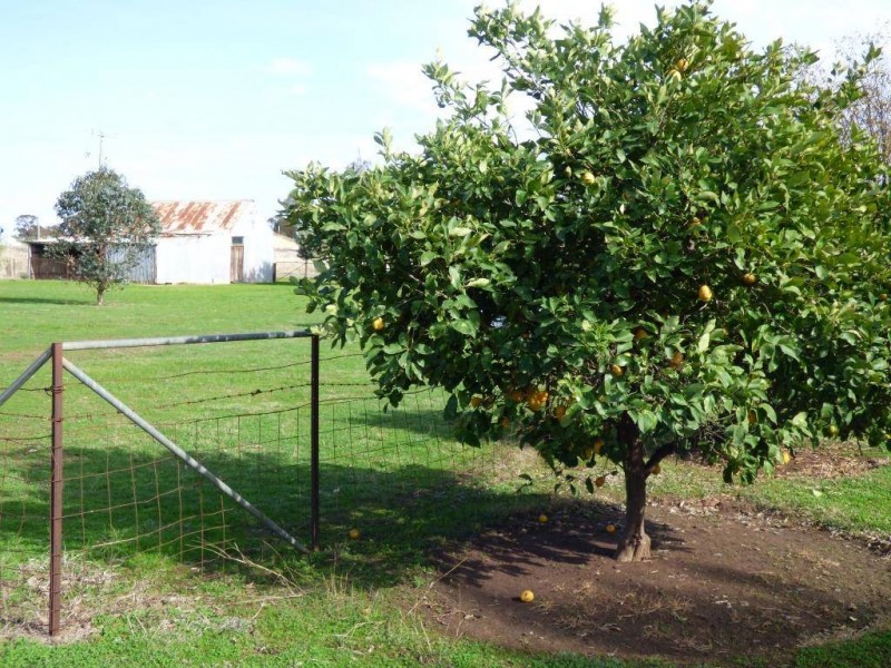 Lot 18 Schillers Road, Milvale NSW 2594