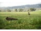 6/248 Back Brawlin Road, Cootamundra NSW 2590