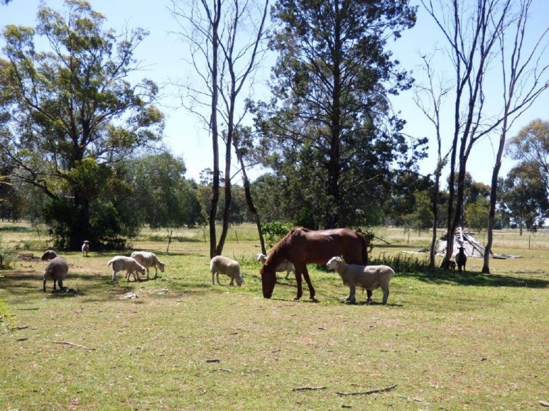 2 O’Brien Street, Stockinbingal NSW 2725