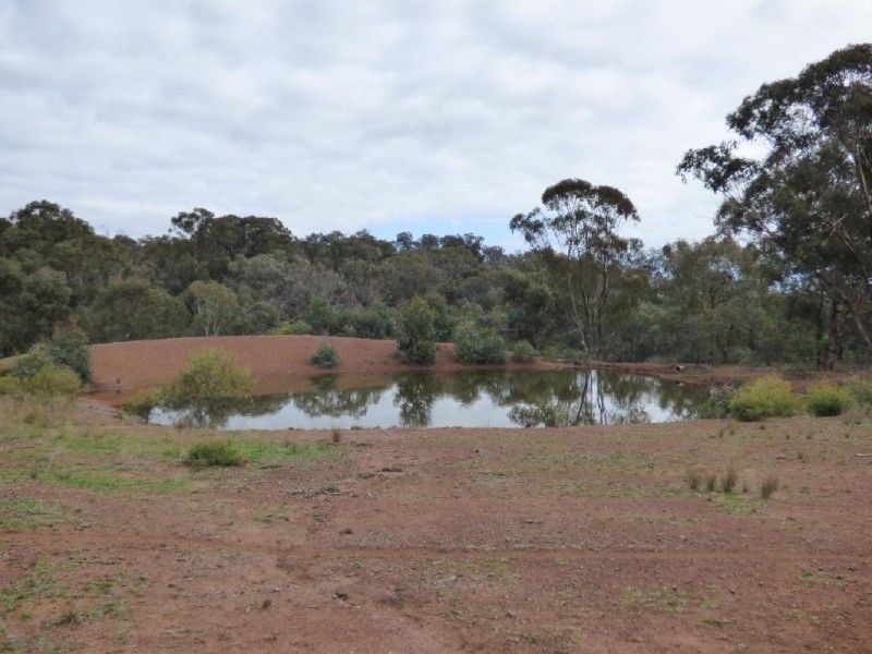 108 Whites Lane, Stockinbingal NSW 2725